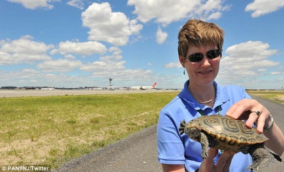 article-0-1A57A015000005DC-759_634x385